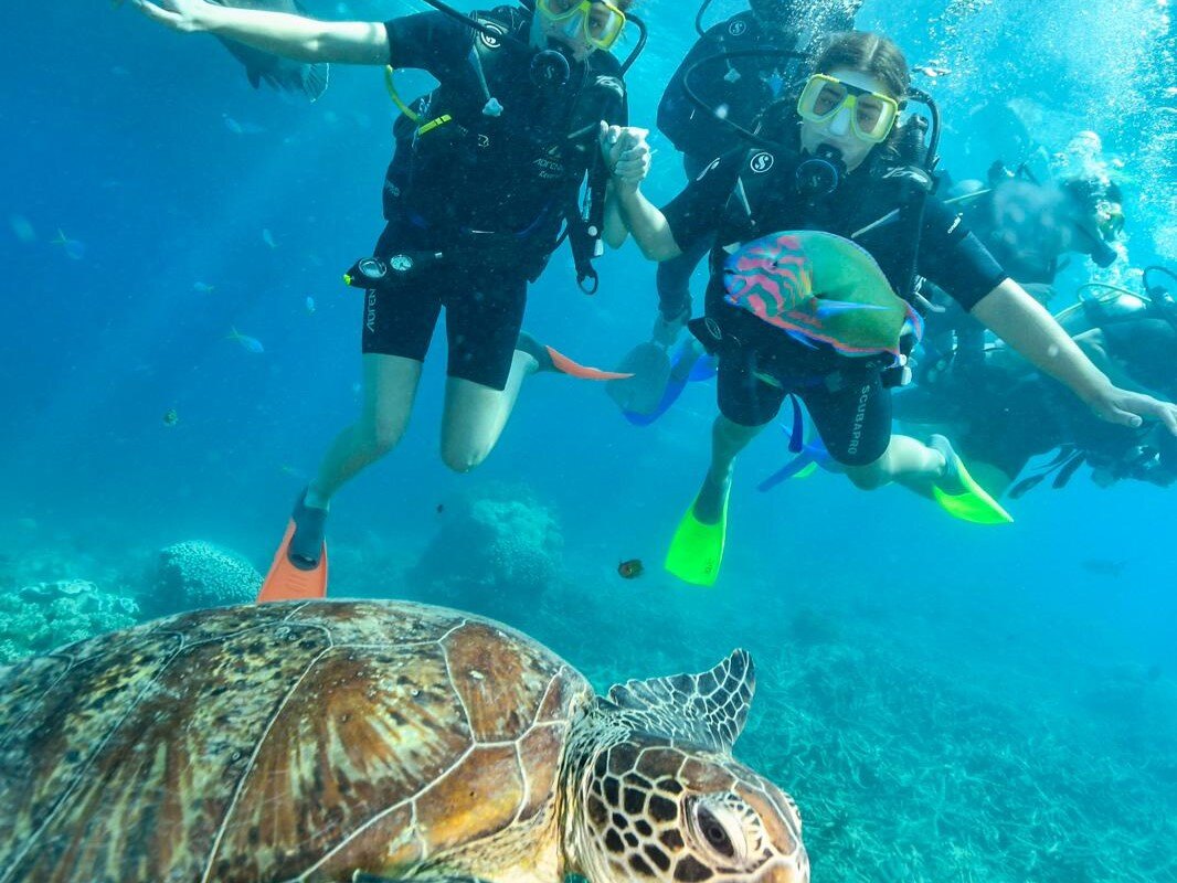 3 Day Orientation in Cairns - Gold Coast