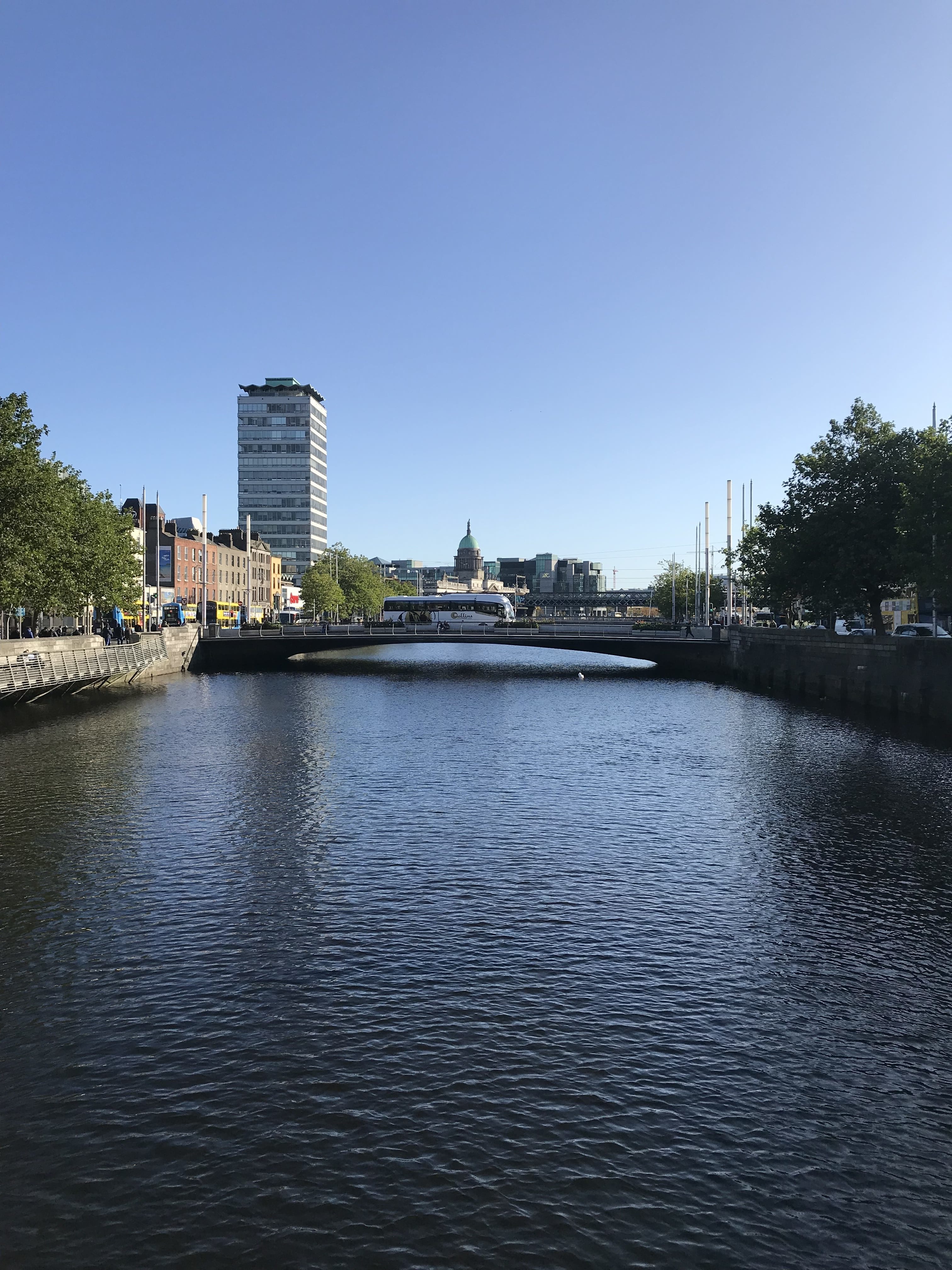 Summer Business Study + Intern at University College Dublin