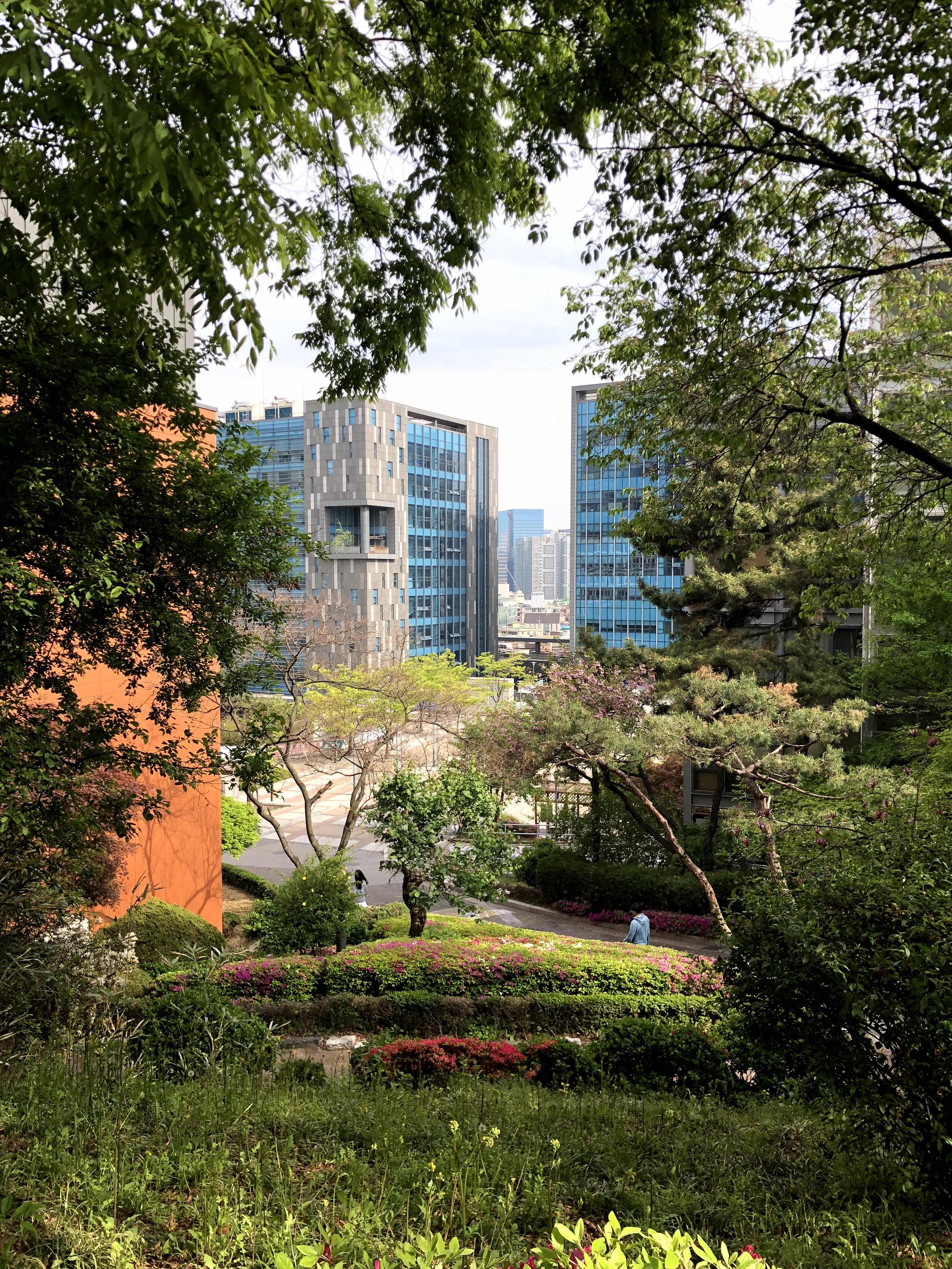 Semester in Seoul - Sogang University